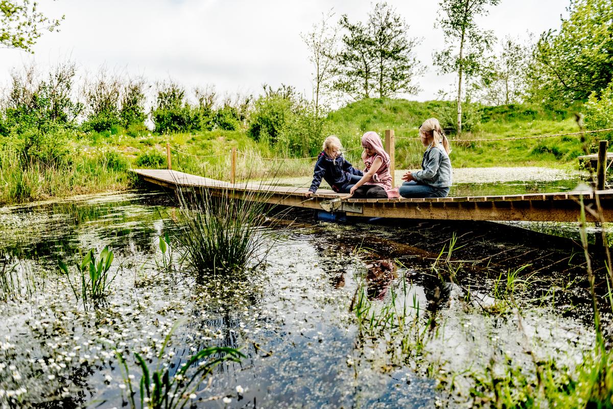 Børn fisker med net i sø