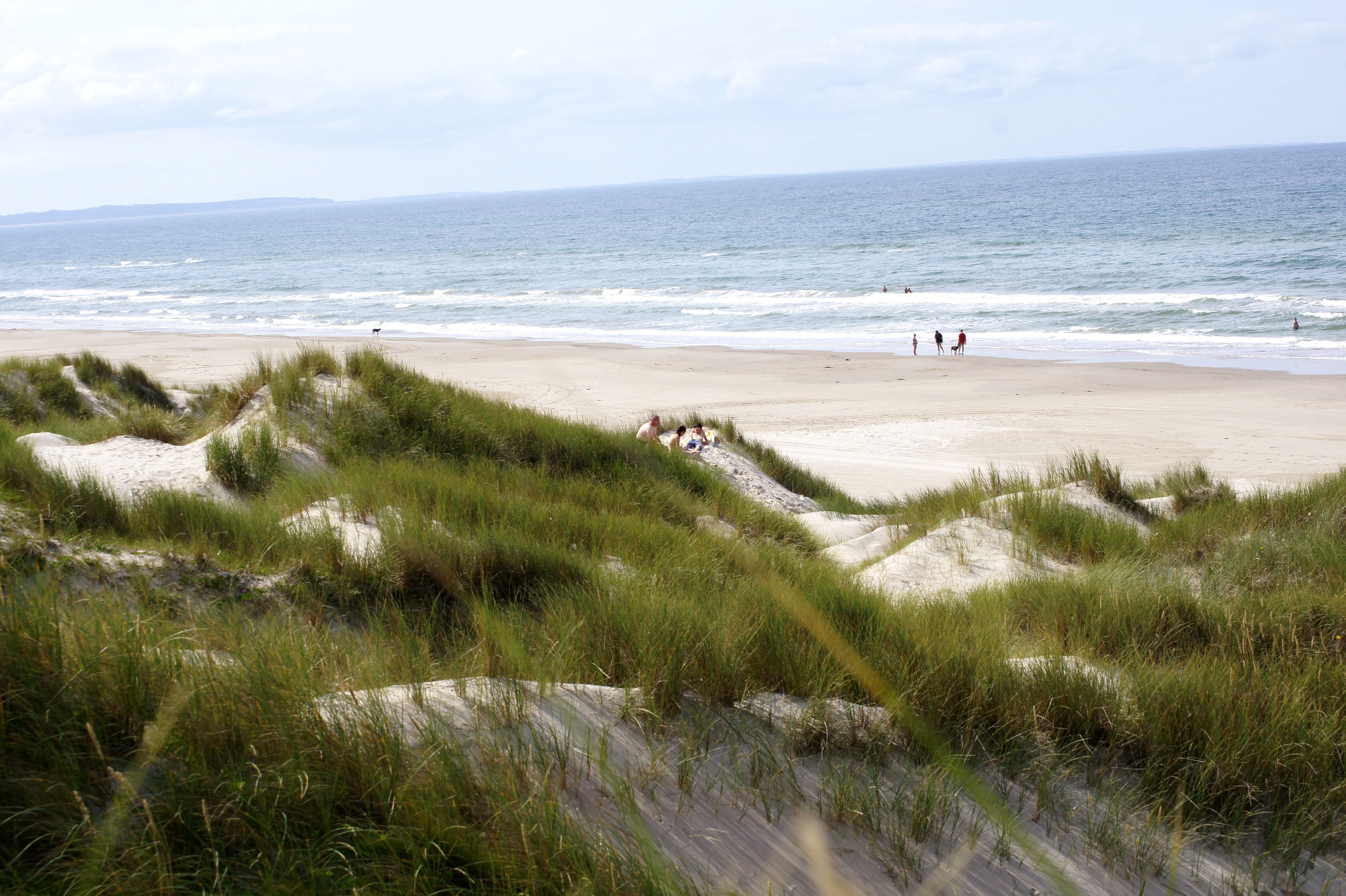 Klitter, strand og hav