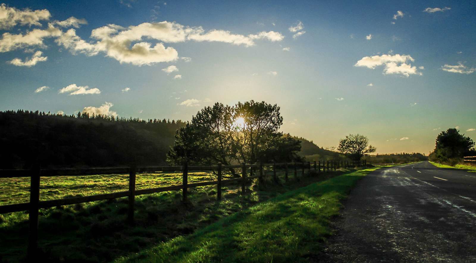 Natur og vej i solnedgang