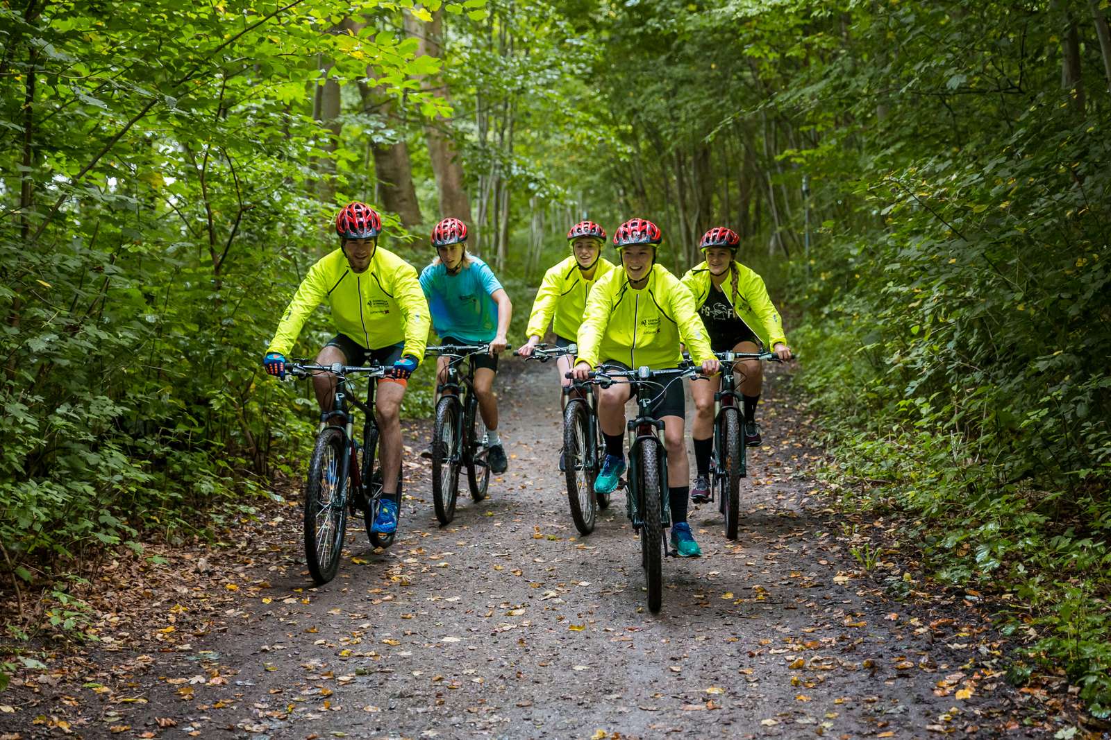 Mountainbike-ryttere cykler i skoven