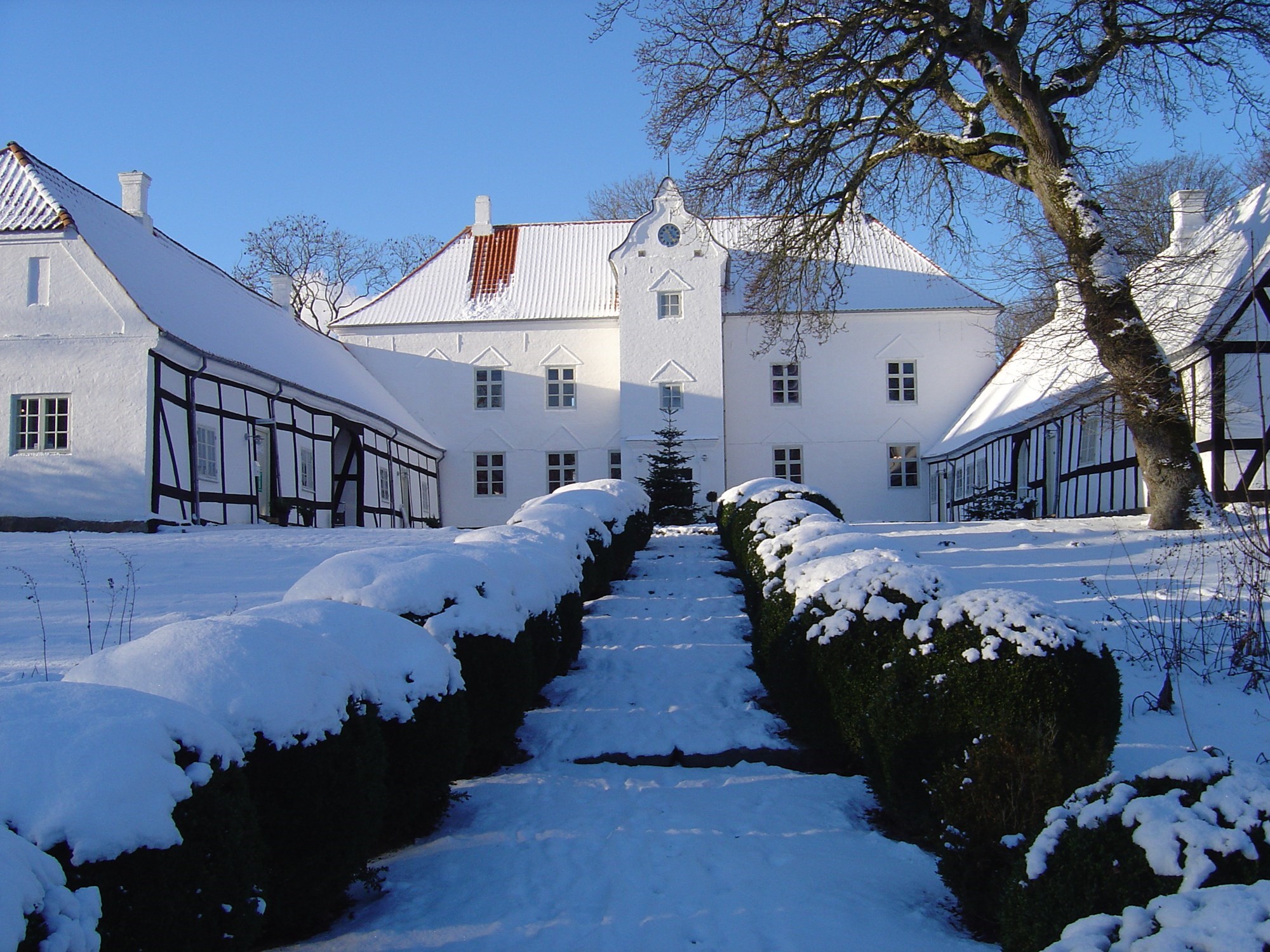 Et snedækket Bratskov