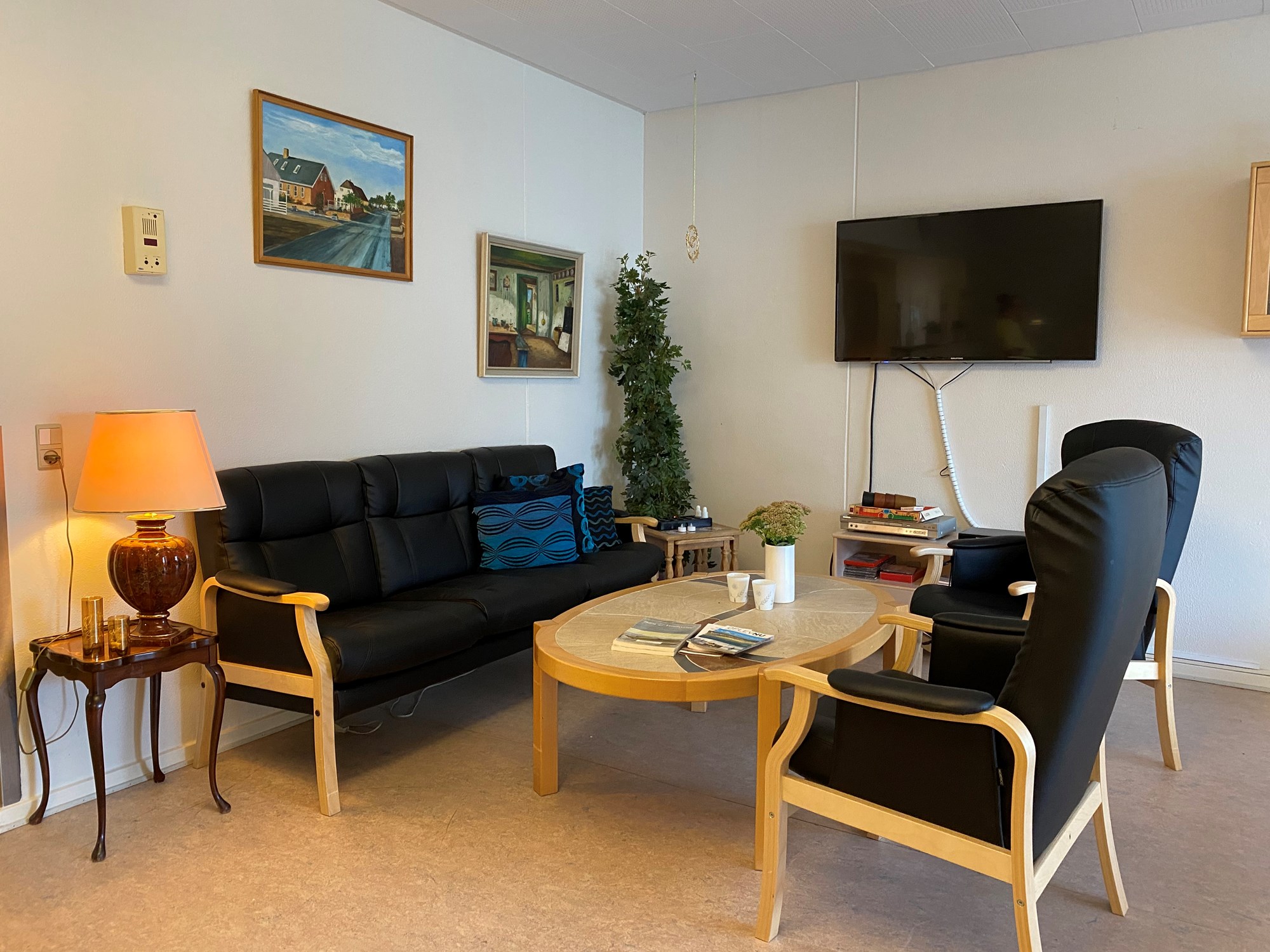 Opholdsstue med sofa og TV