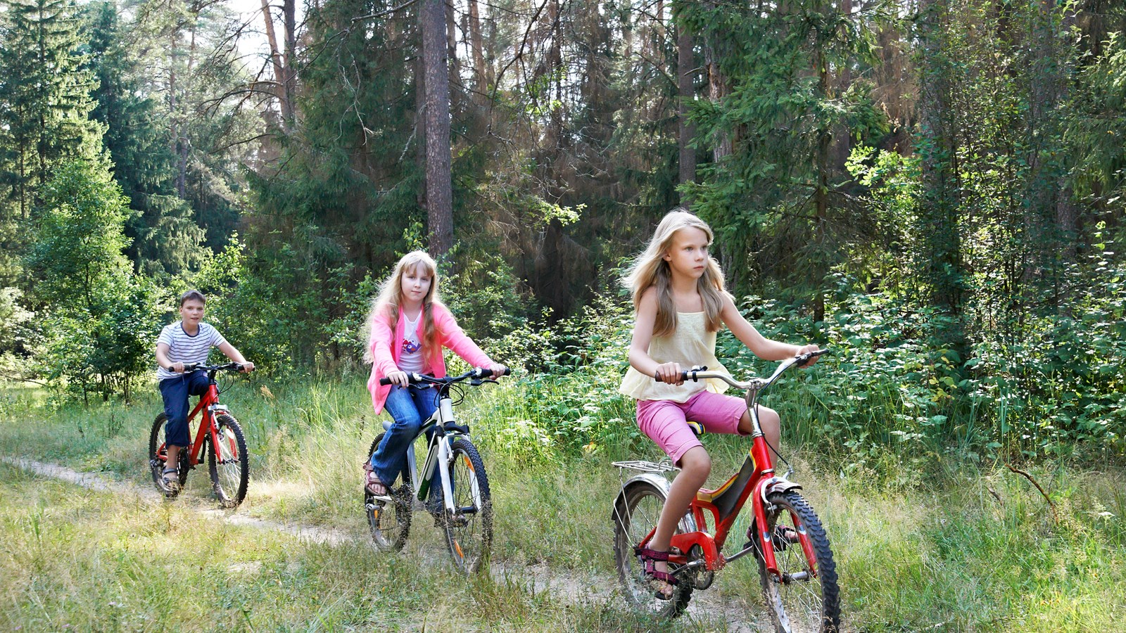 Børn cykler i skoven