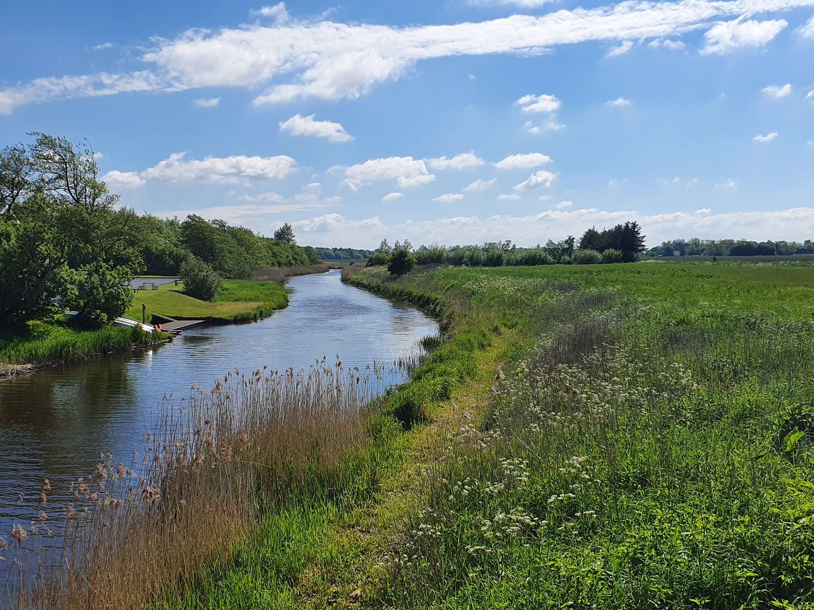 Ryå på en sommerdag