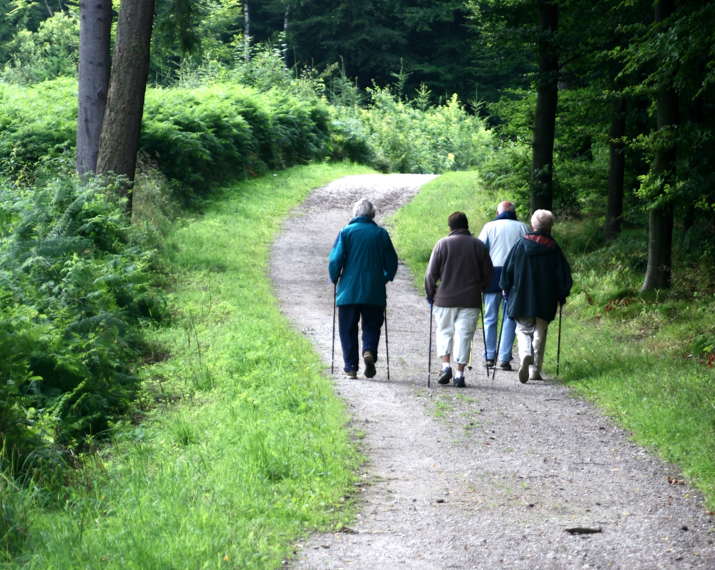 Folk spadserer på skovsti