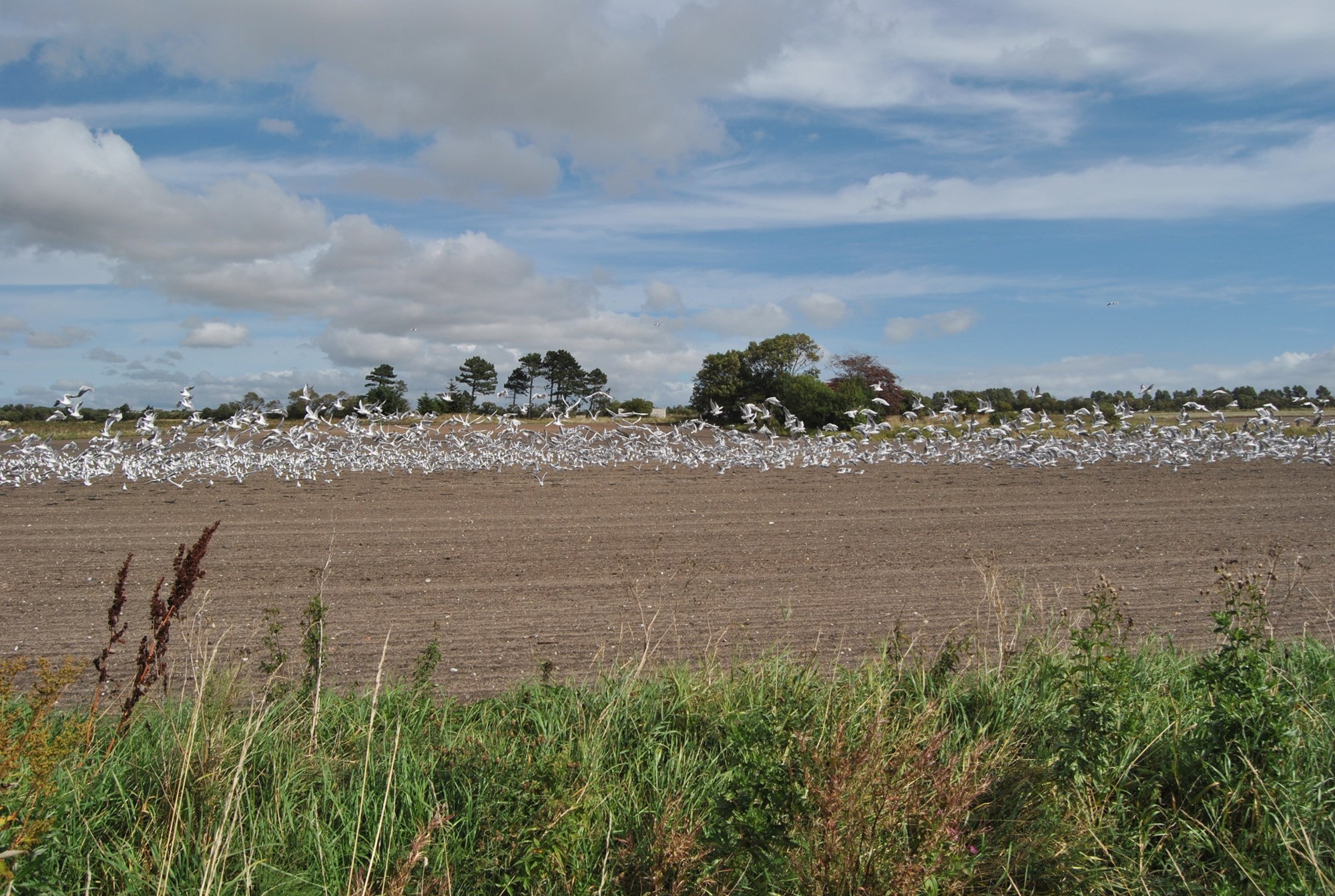 Natur Jammerbugt Kommune