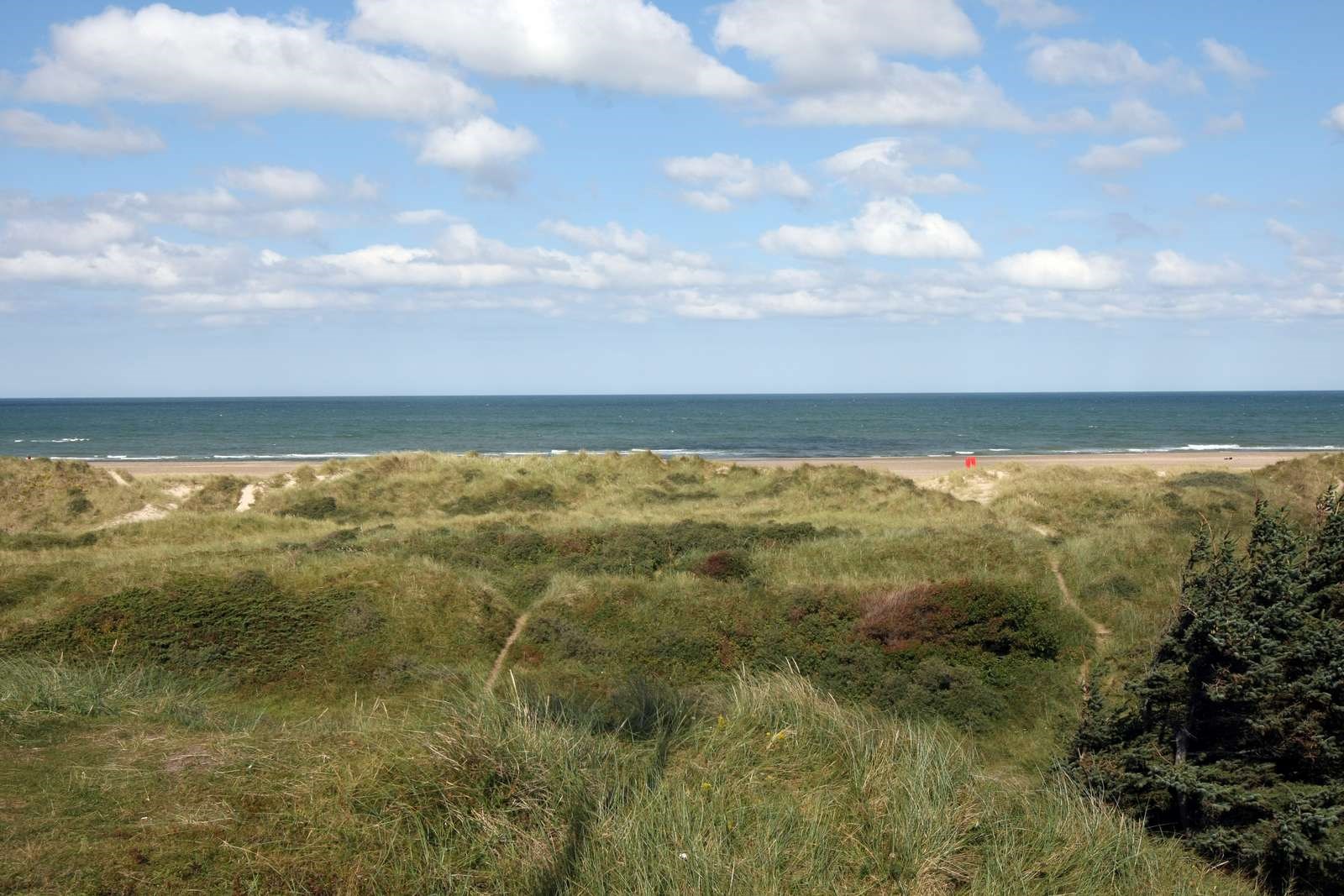 Strand og hav naturbeskyttelse