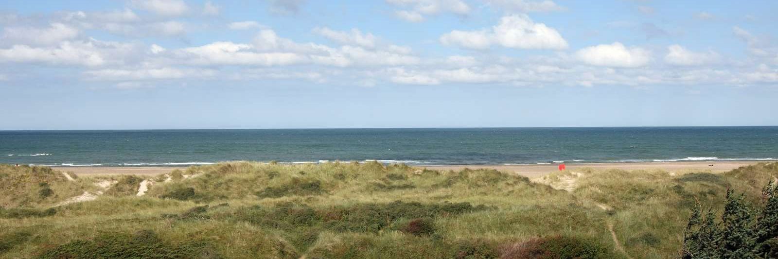 Vesterhavet Svinkløvene