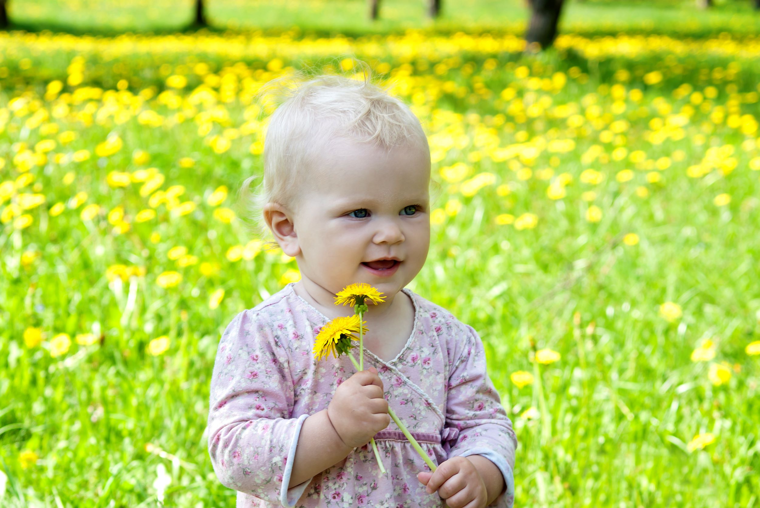 Barn i mælkebøttemark
