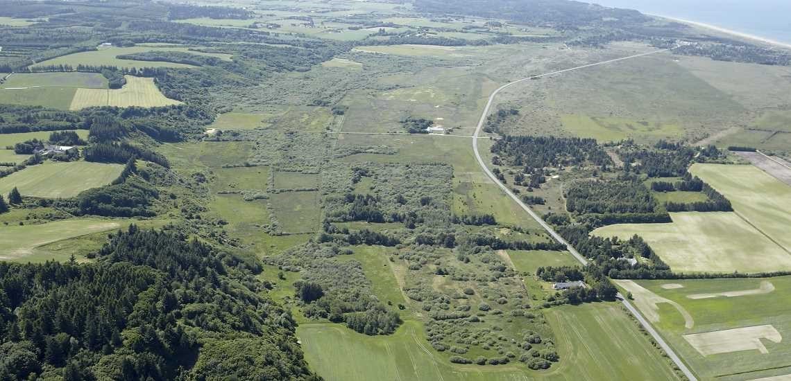 Svenstrup Kær set mod vest