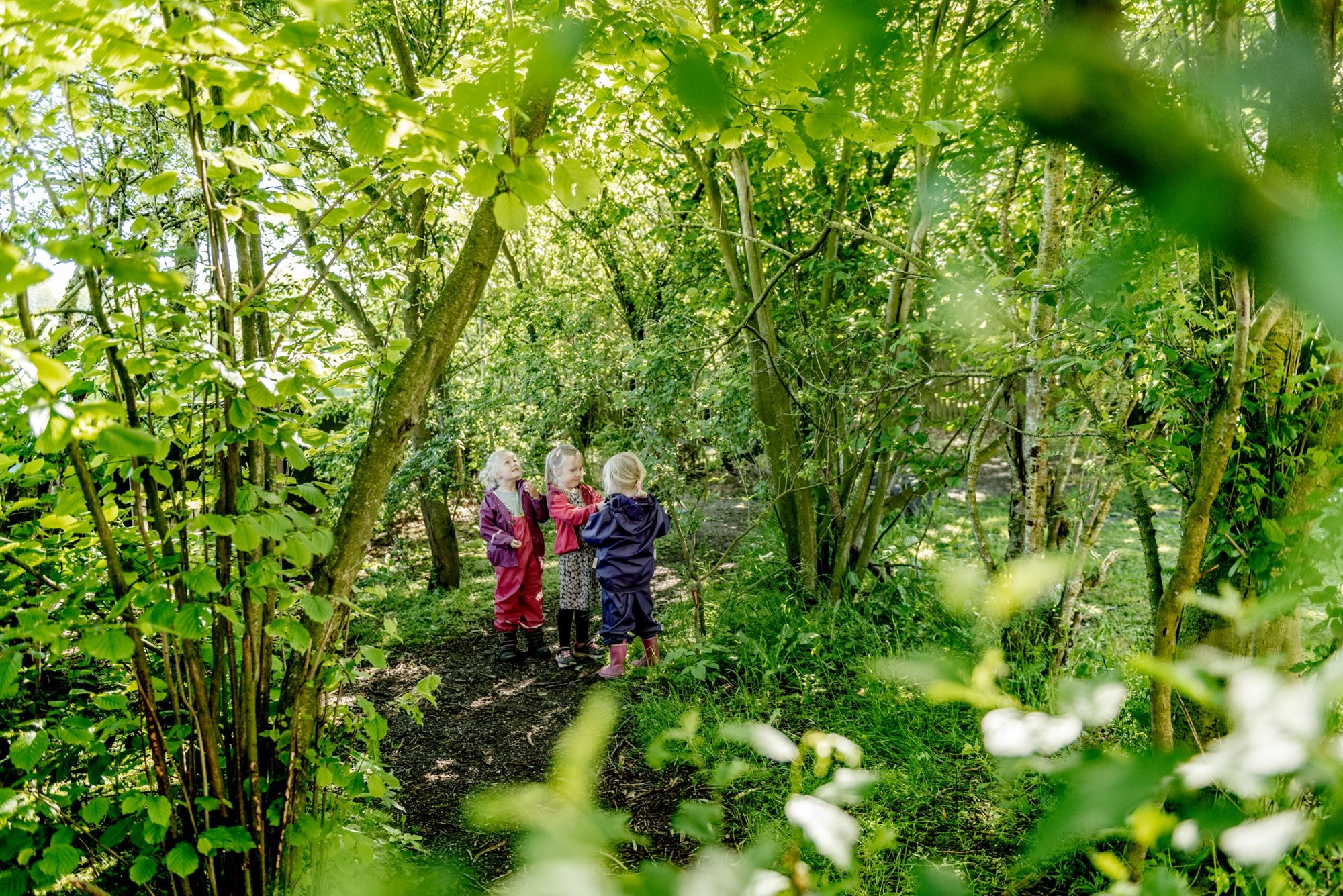 Børn fra Gjøl Skole leger i skoven