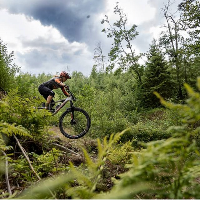 Mountain biker i skoven