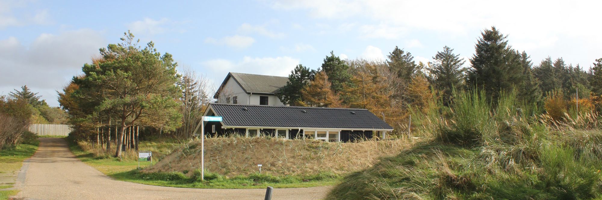 vej i sommerhus område