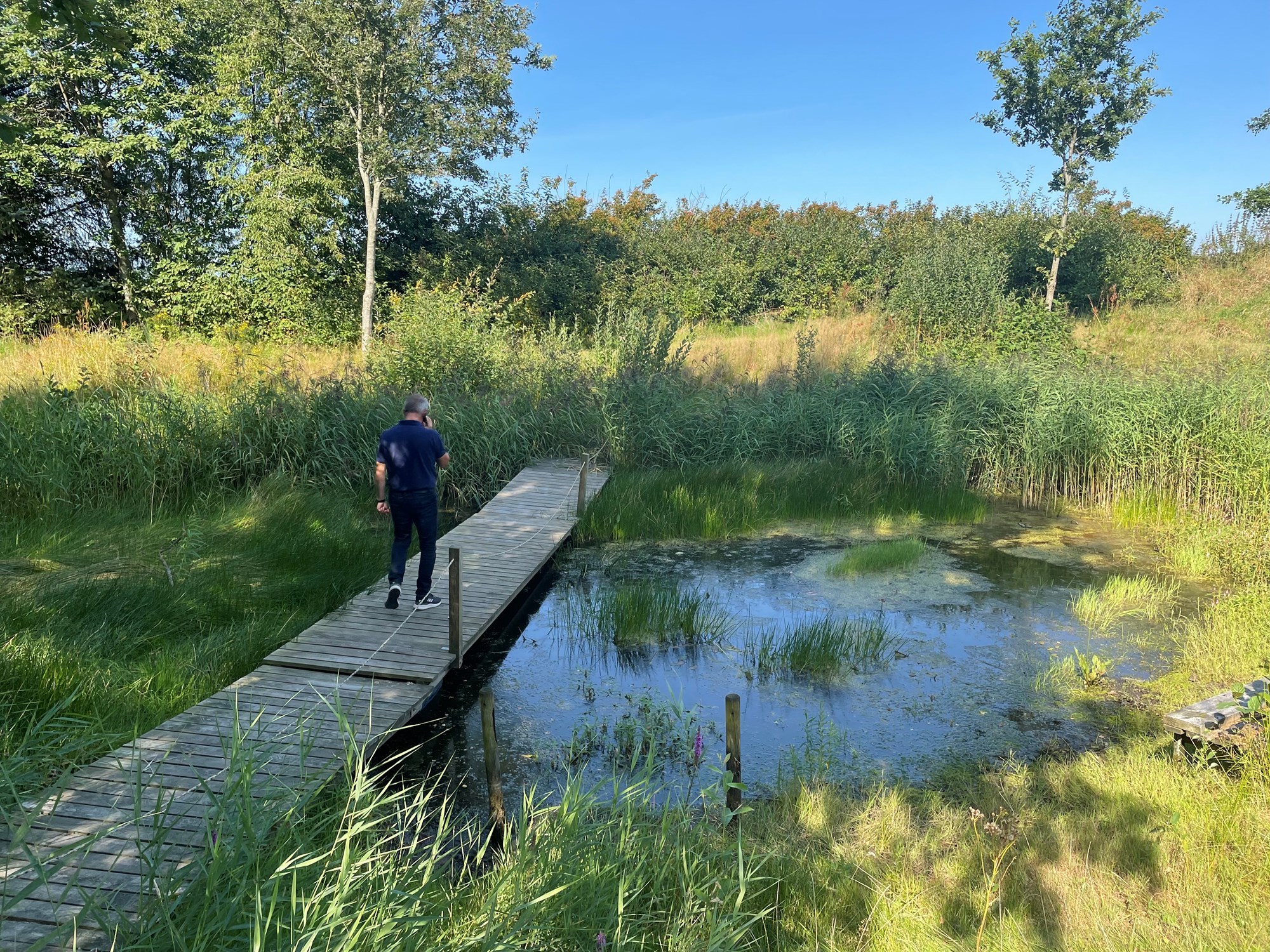 Person på bro over vådområde