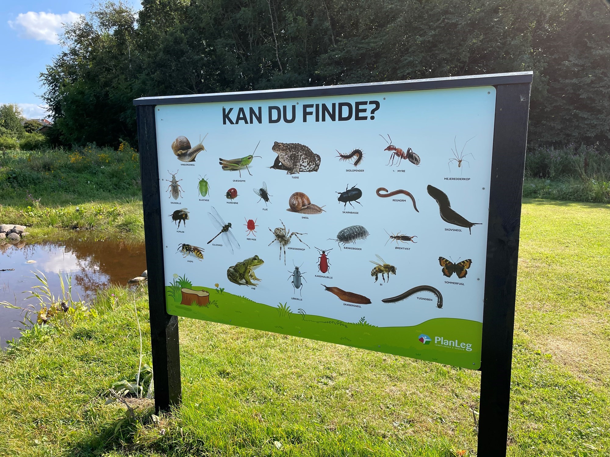 Skilt med insekter og krybdyr