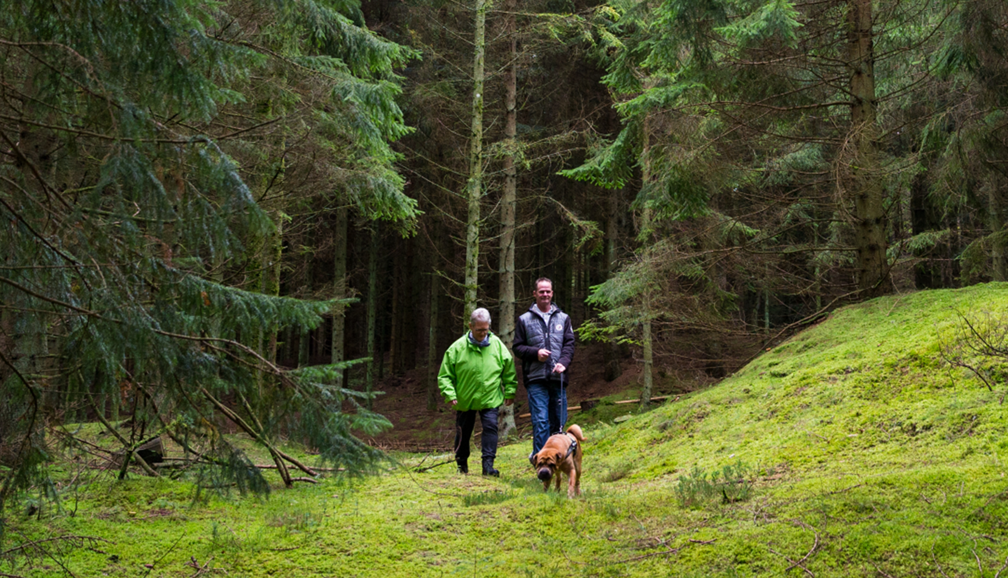 Personer går tur med hunden i skoven
