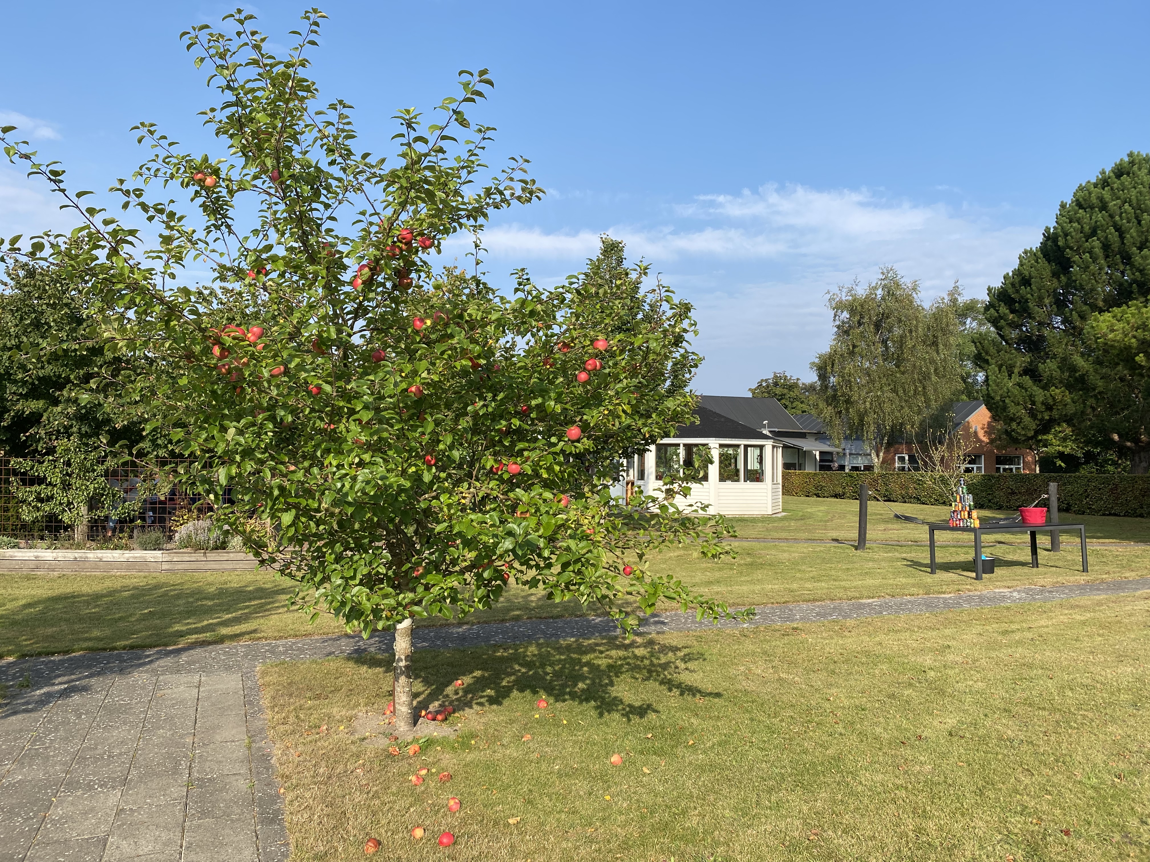 Solgården Plejecenter - æbletræ udenfor.
