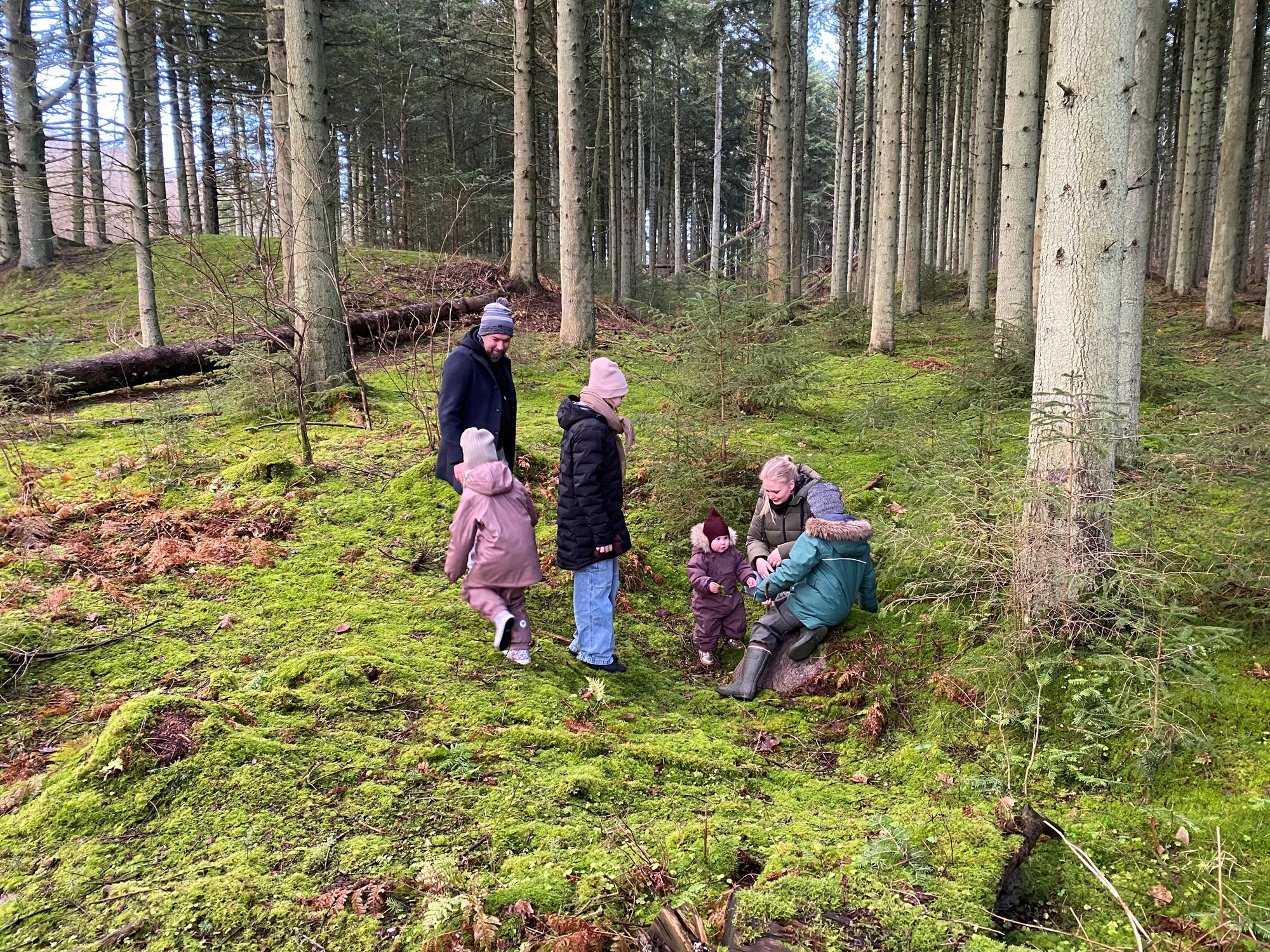 Familie i skoven