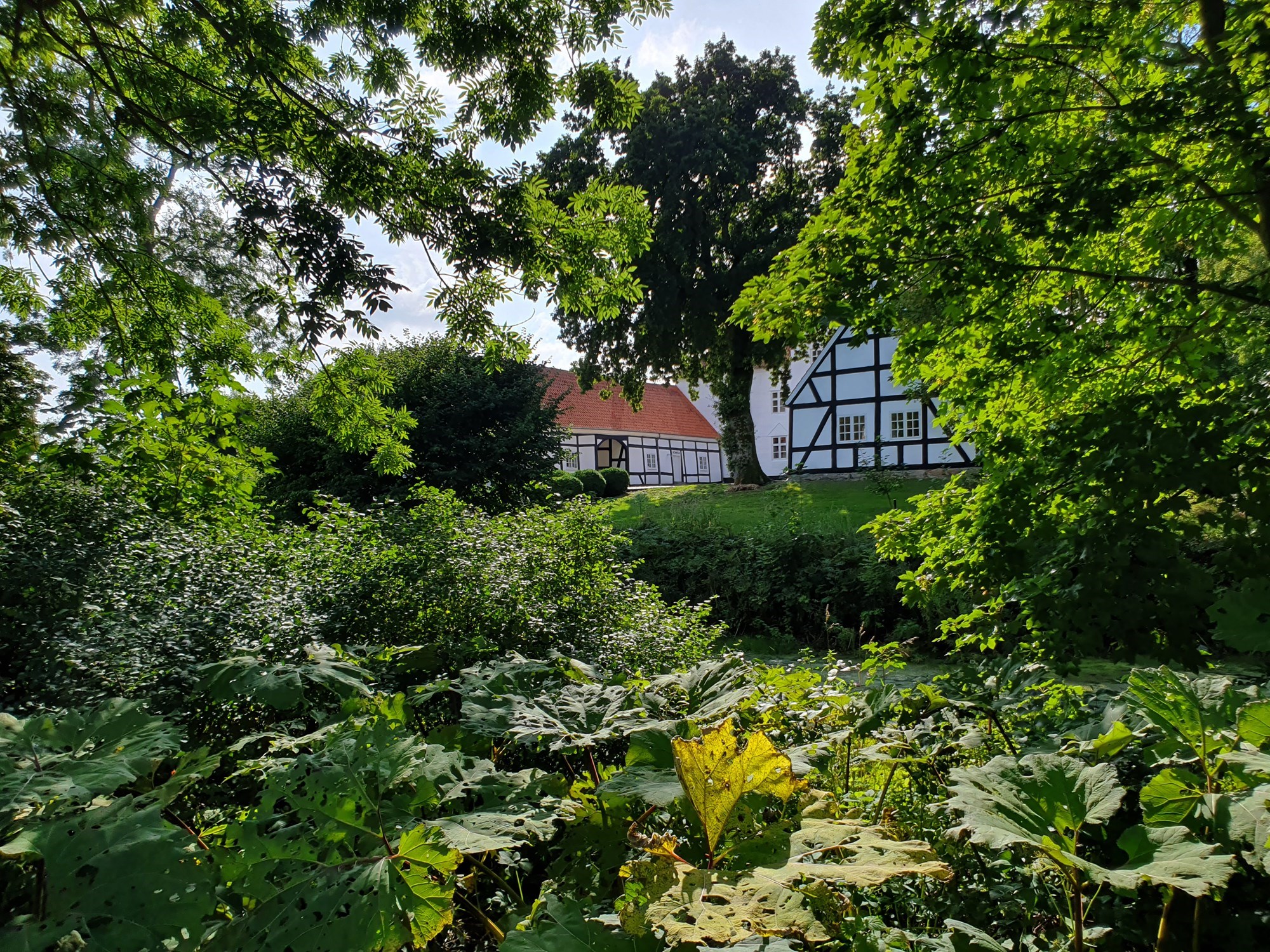 Bratskov I Det Grønne