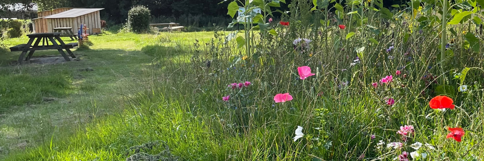 Vild natur borde og bænke