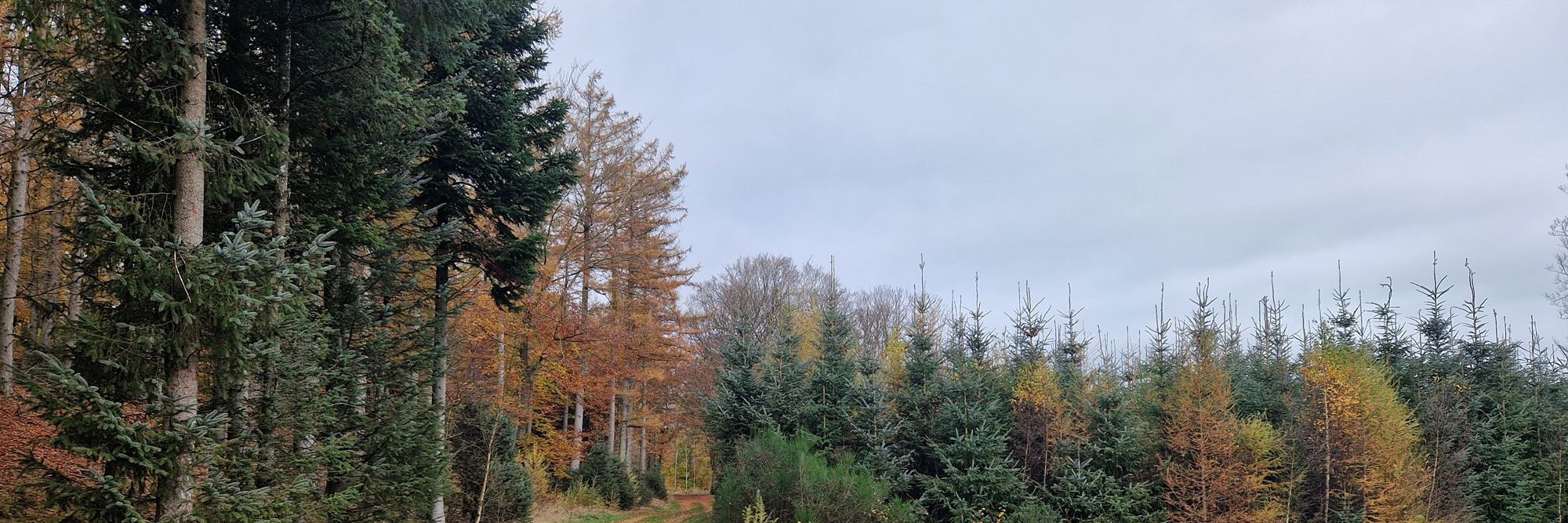 Øland Skov vej