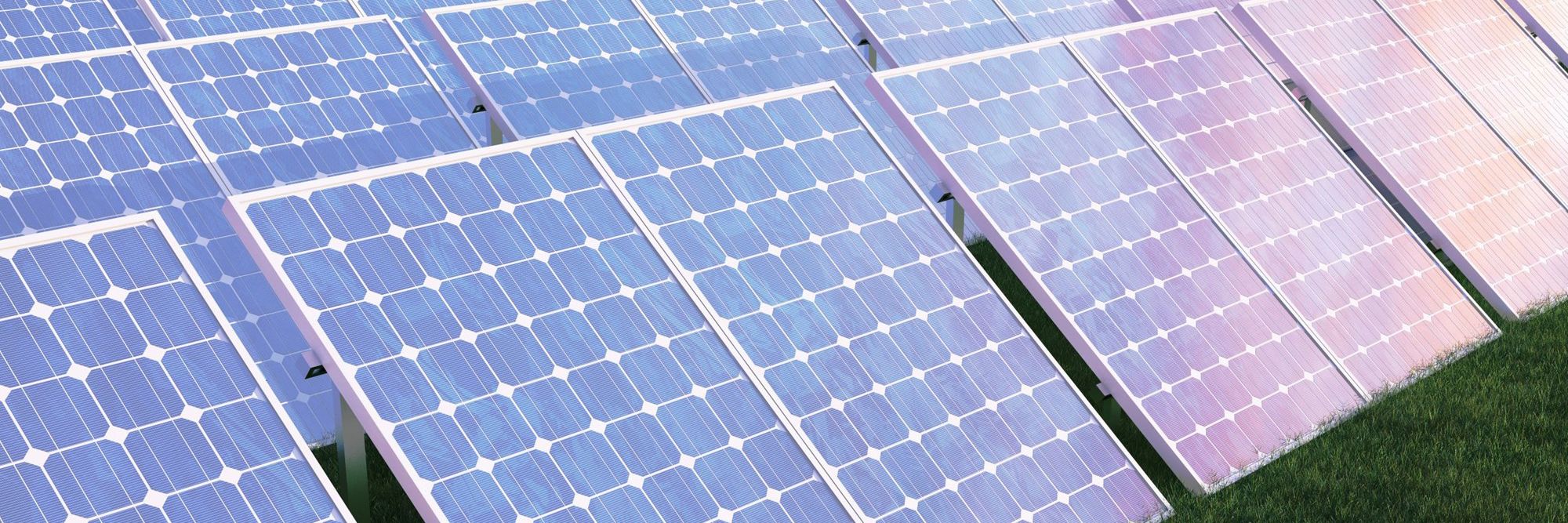 rækker af solceller på mark
