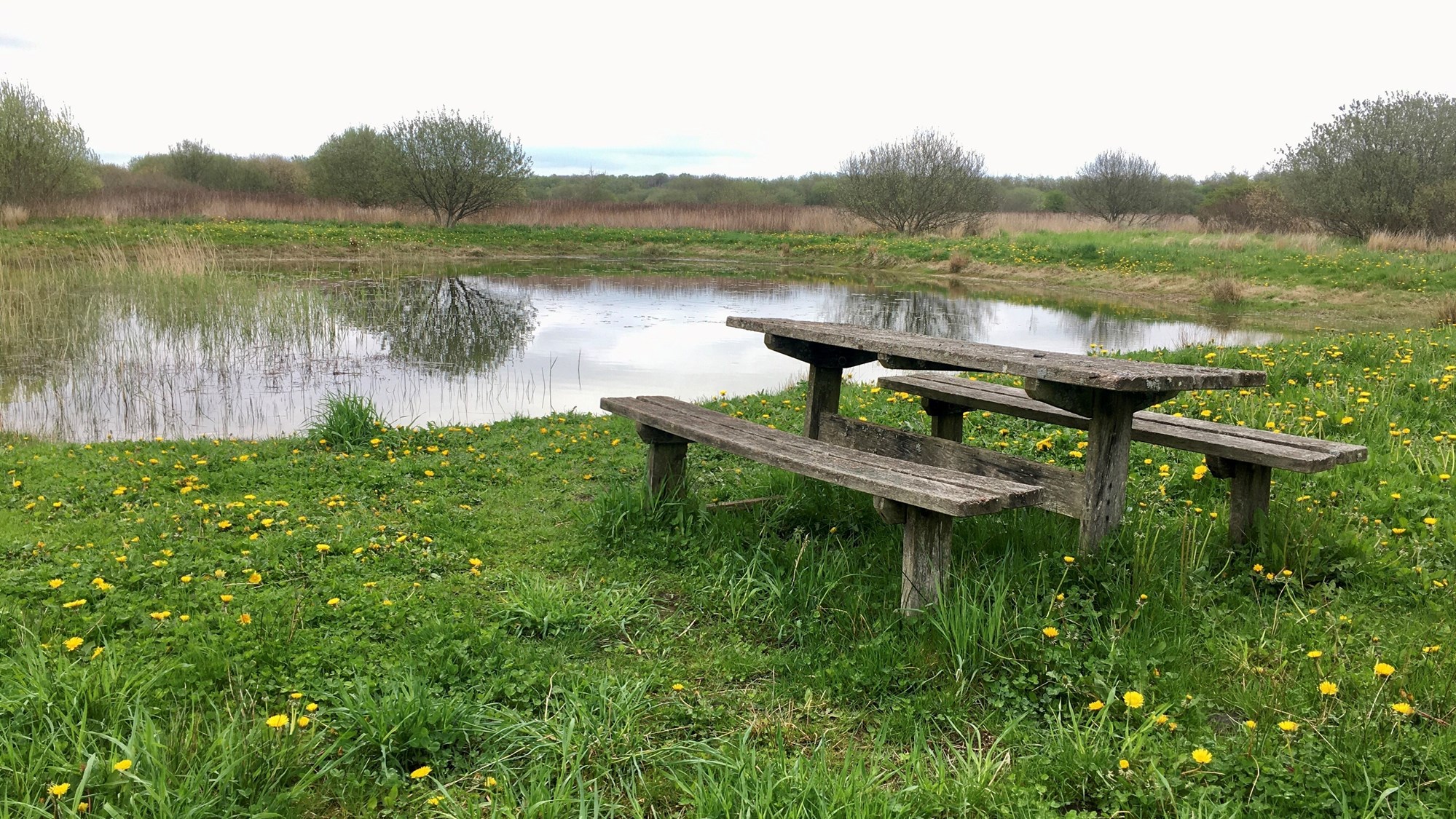 Bord og bænk ved sø