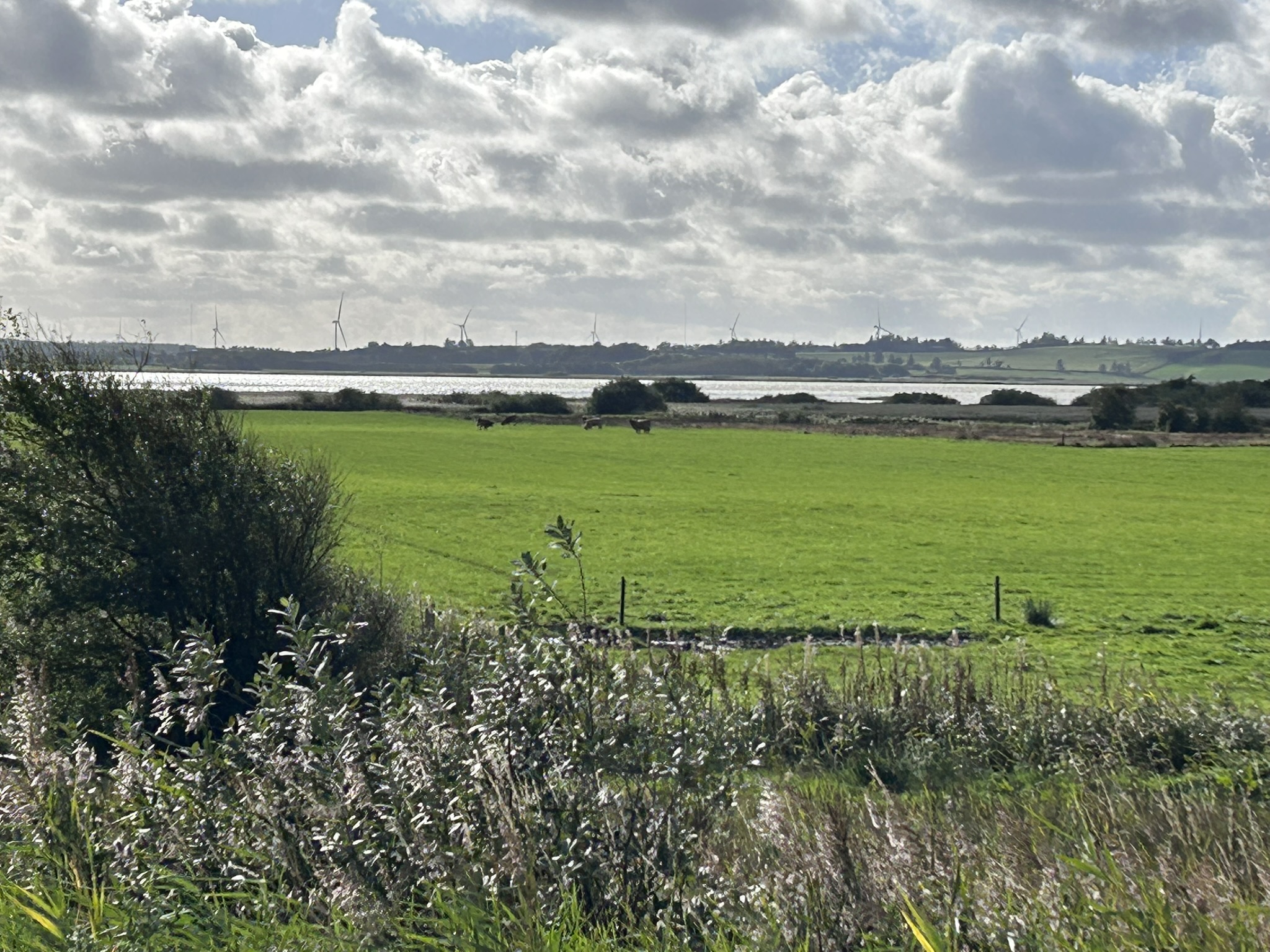 Projektområde ved Lund Fjord