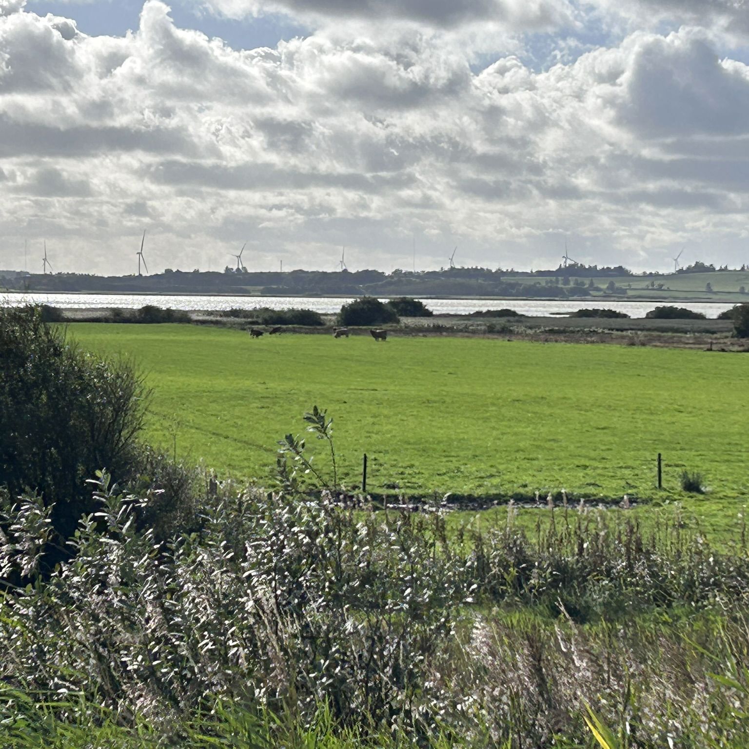 Projektområde ved Lund Fjord