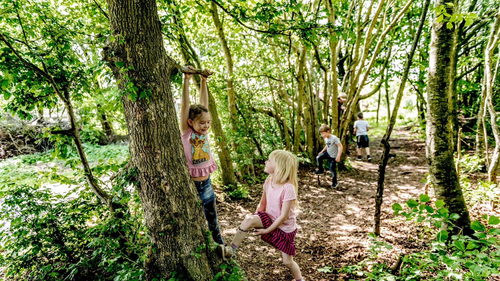 Børn leger i træer