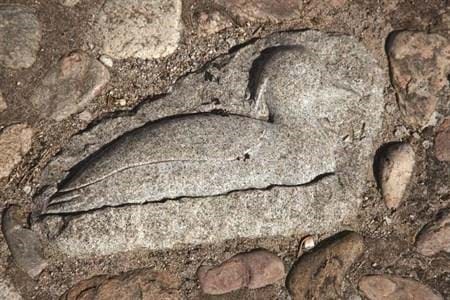 Belægningssten Kaas