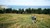 to der cykler i natur