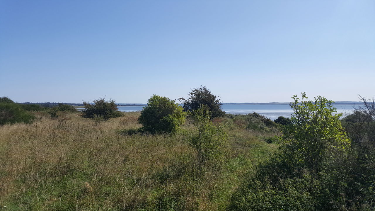 Vild natur