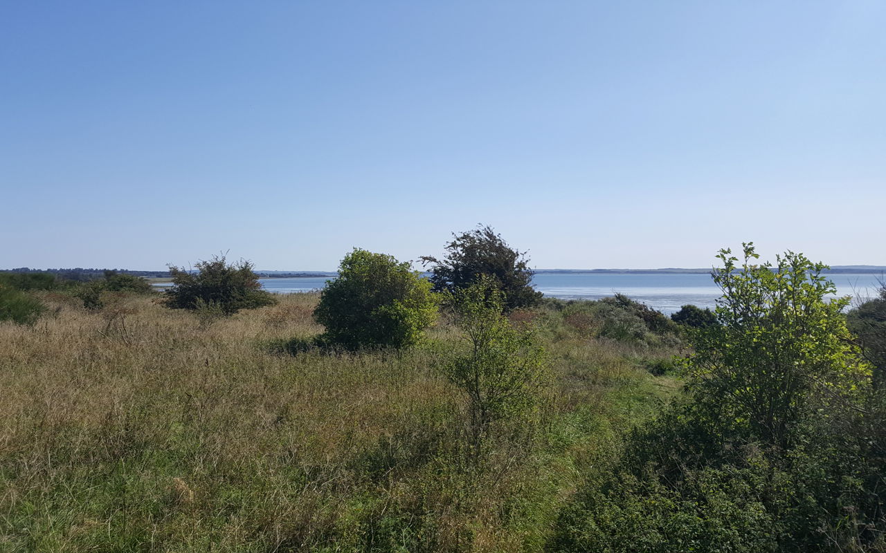 Vild natur