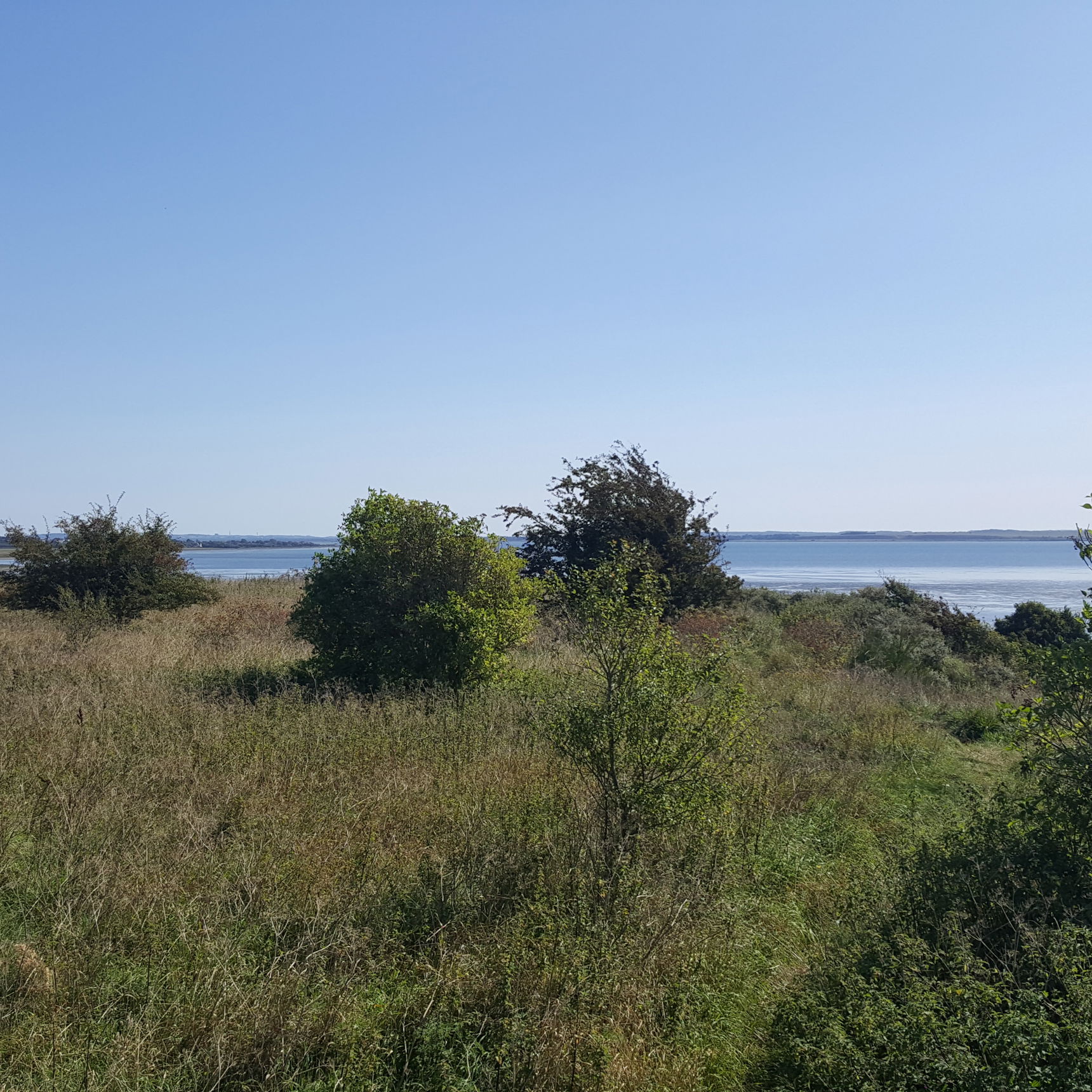 Vild natur