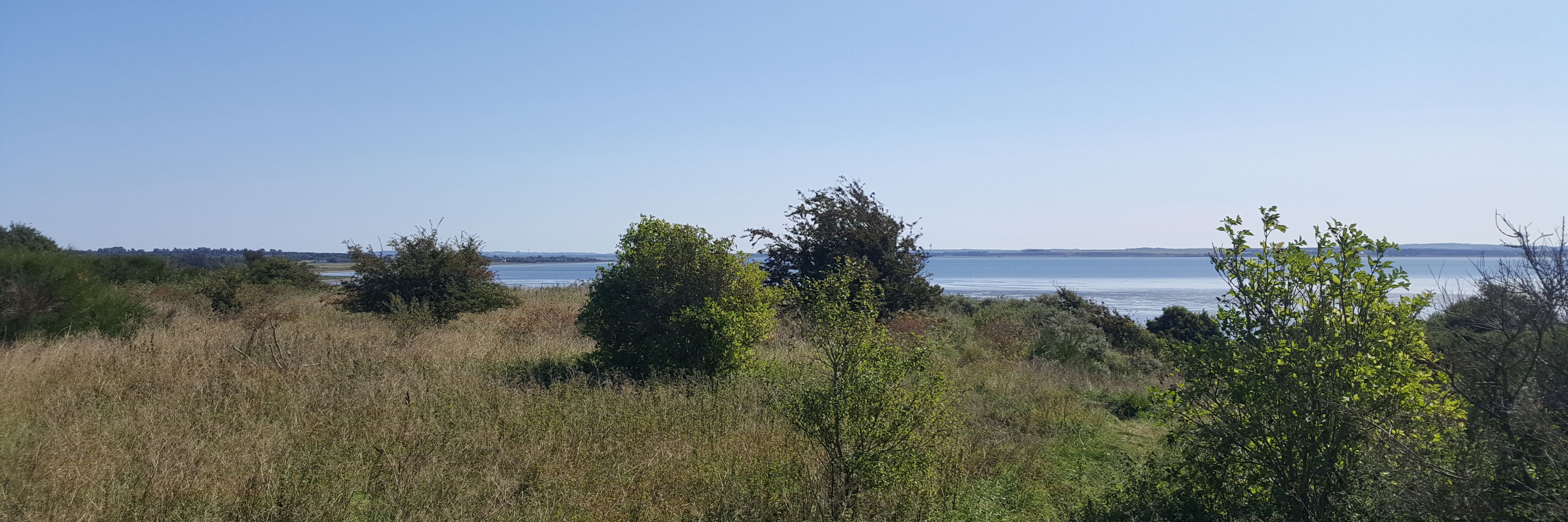 Vild natur