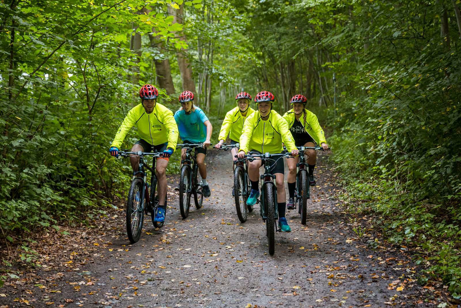 flok på mountainbikes i skov