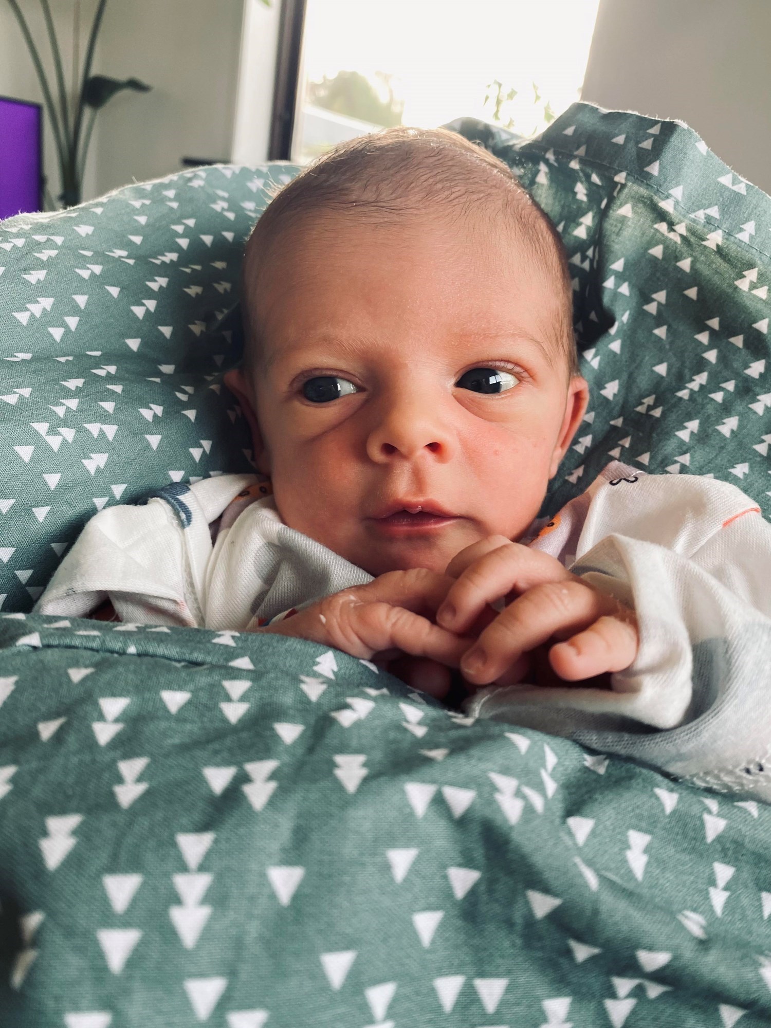 Familiens nye medlem, Lauge