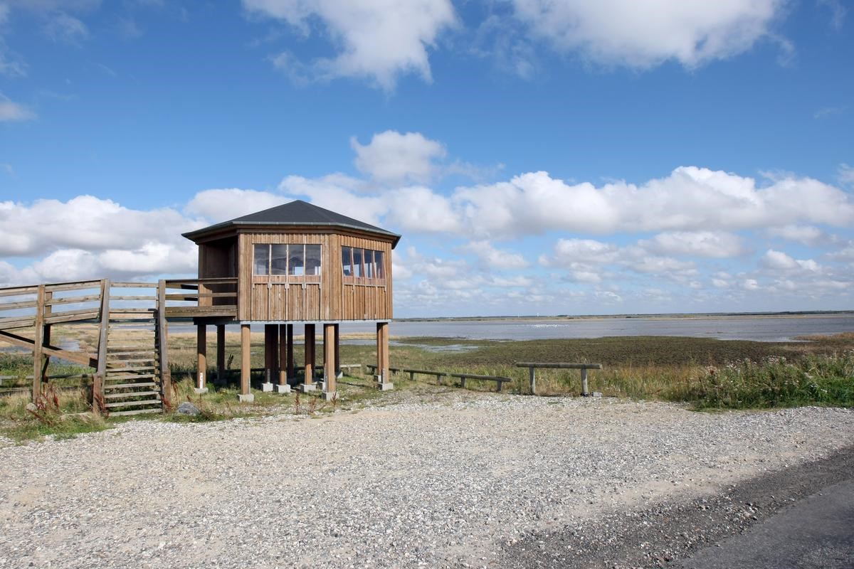 Fugle-udkigstårn ved Gjøl dæmning