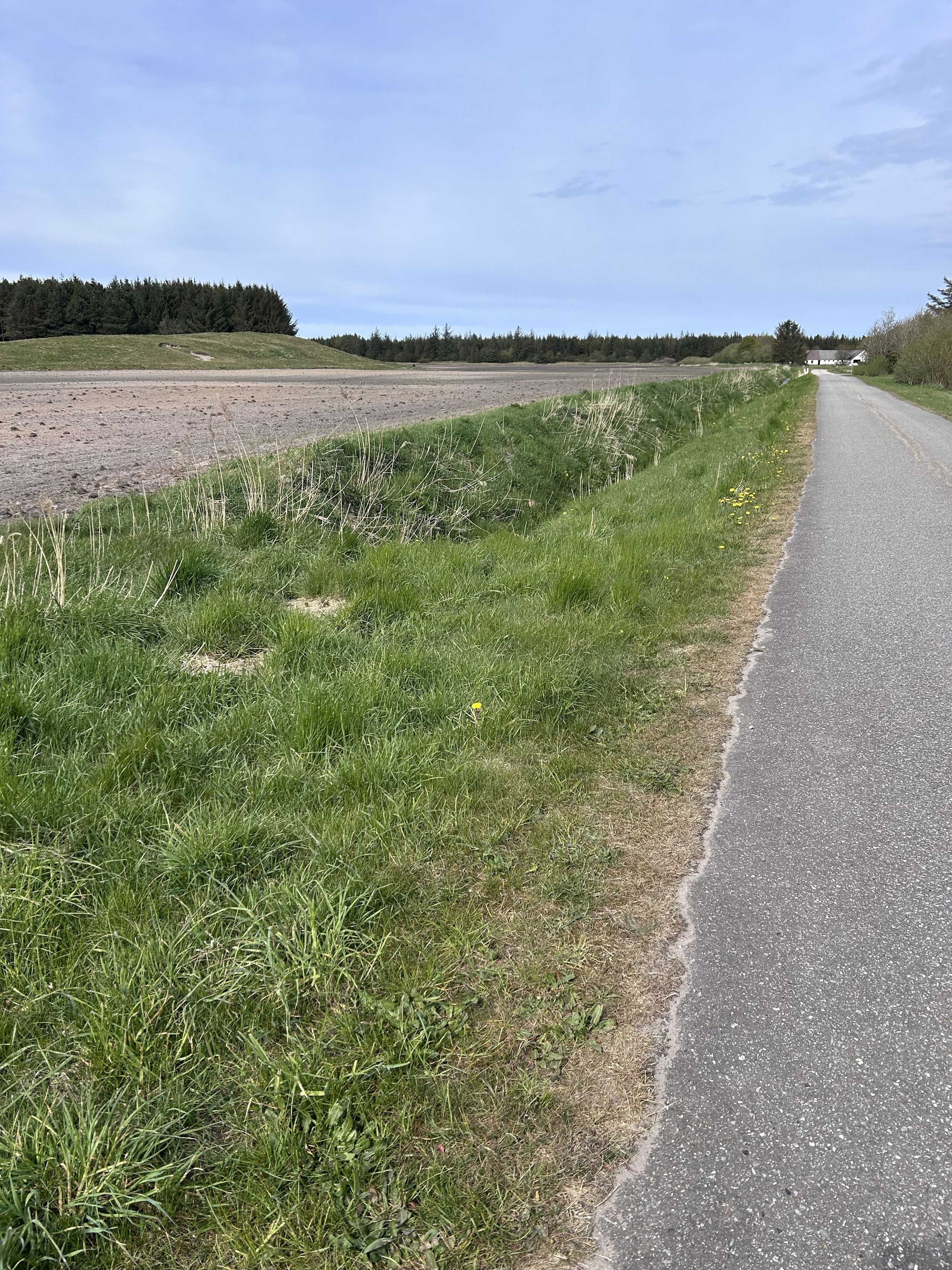 Projektområde ved Barkær