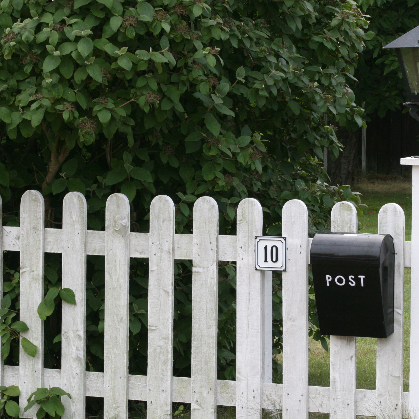 Stakit buske og postkasse