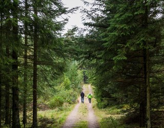 to personer lufter hund i skov