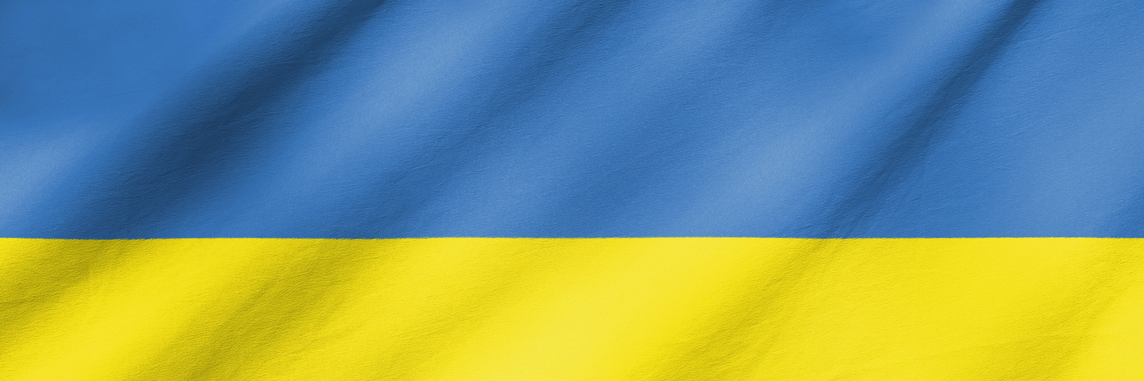 Det ukrainske flag
