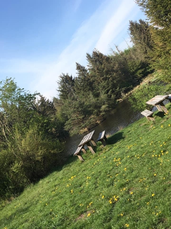 sø, bænke og borde