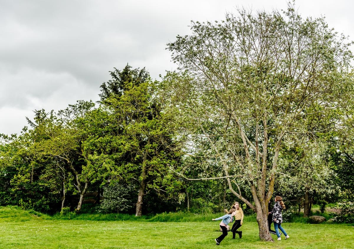 Piger leger tagfat omkring et træ