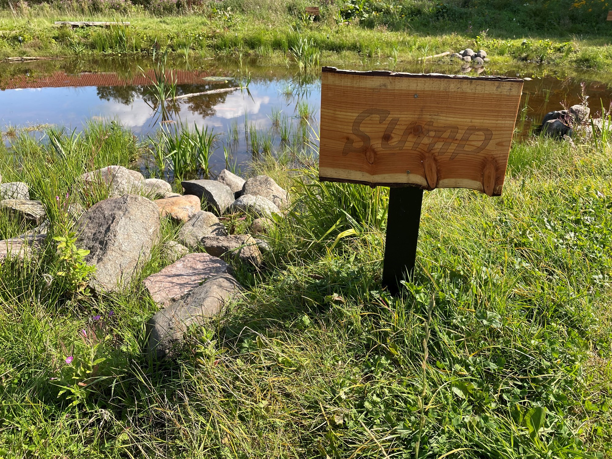 Vandområde med træskilt med Sump