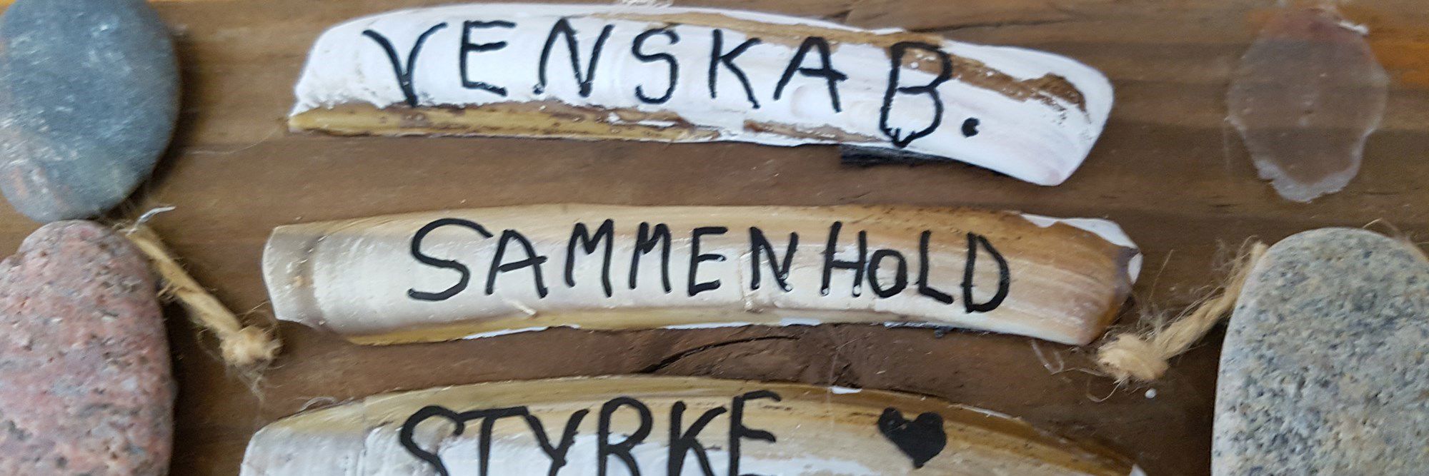 Sten Med Vise Ord