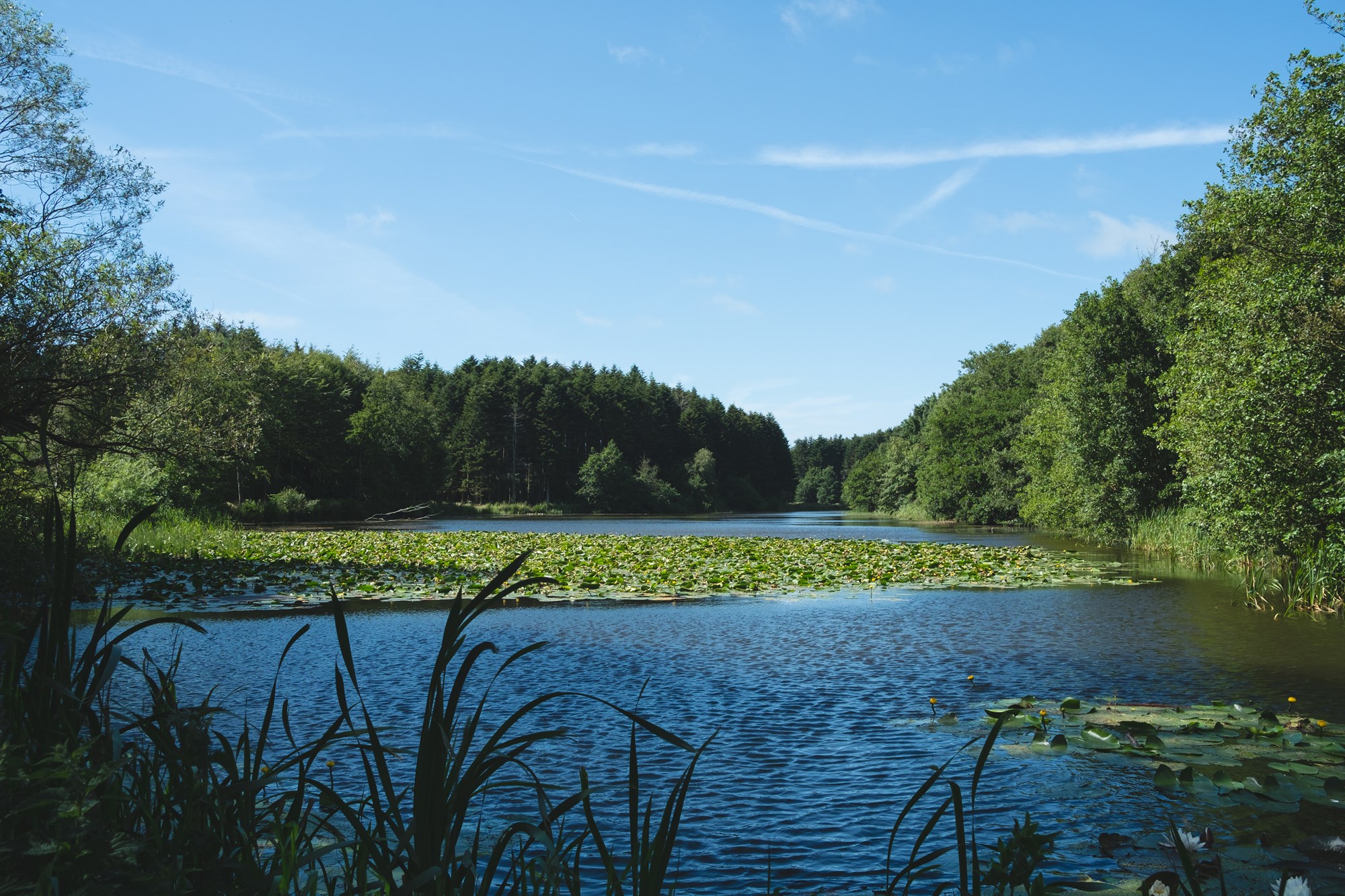 Idyllisk udsigt over Nols Sø