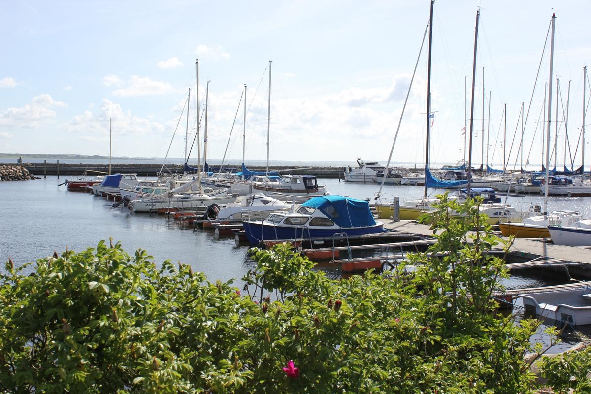 Udsigt over bådehavnen