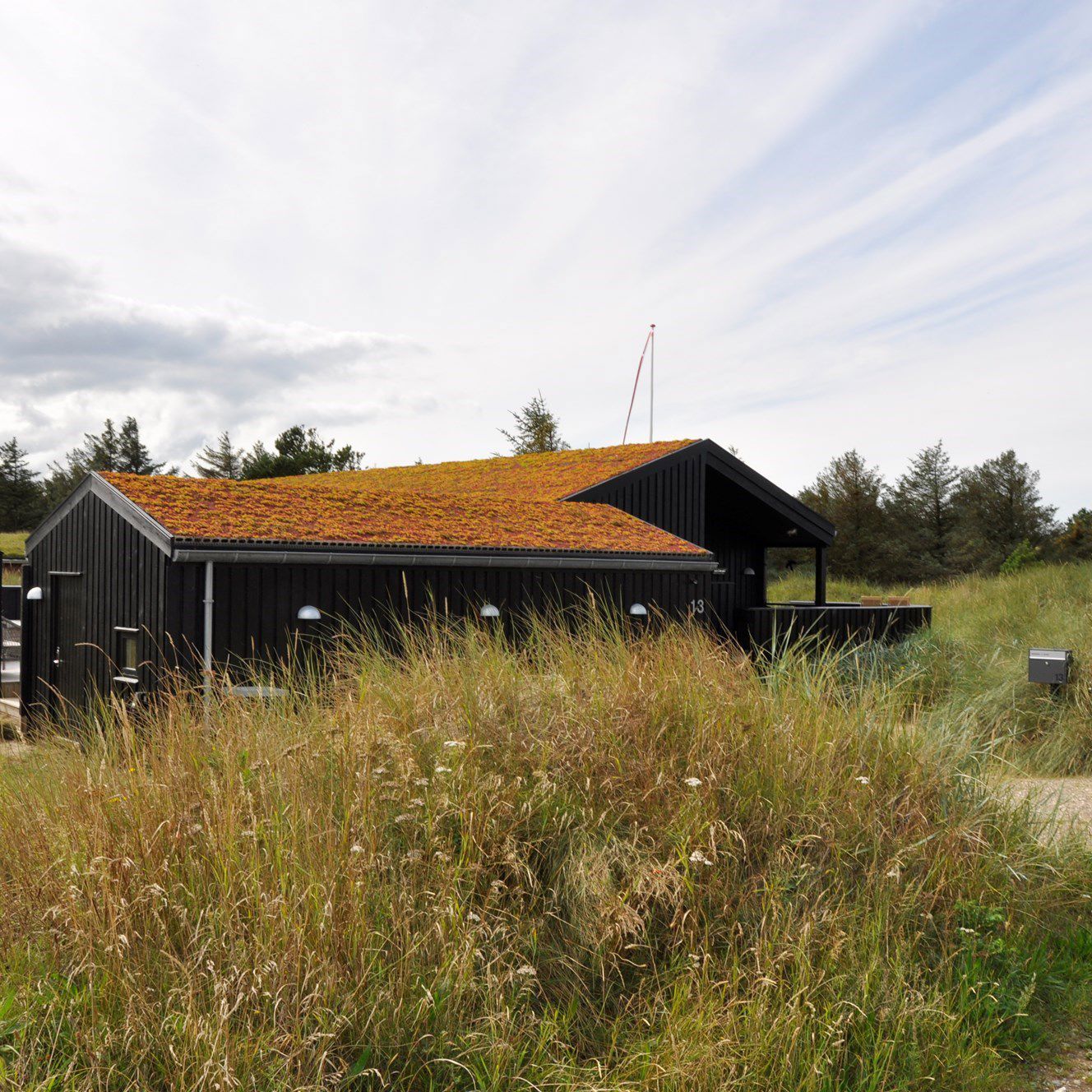 sommerhus set i naturen